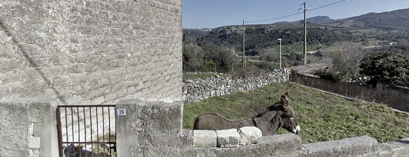 Immagine tratta dal sito http://isperiadas.tumblr.com 