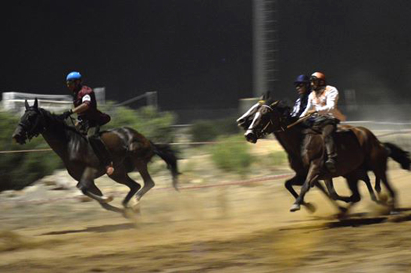 Foto Valentina Spanu