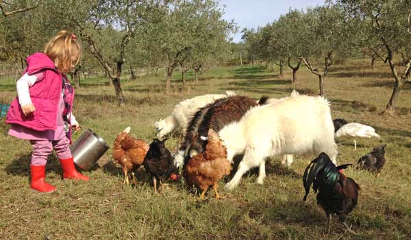 immagine tratta da finanziamentiinagricoltura.it