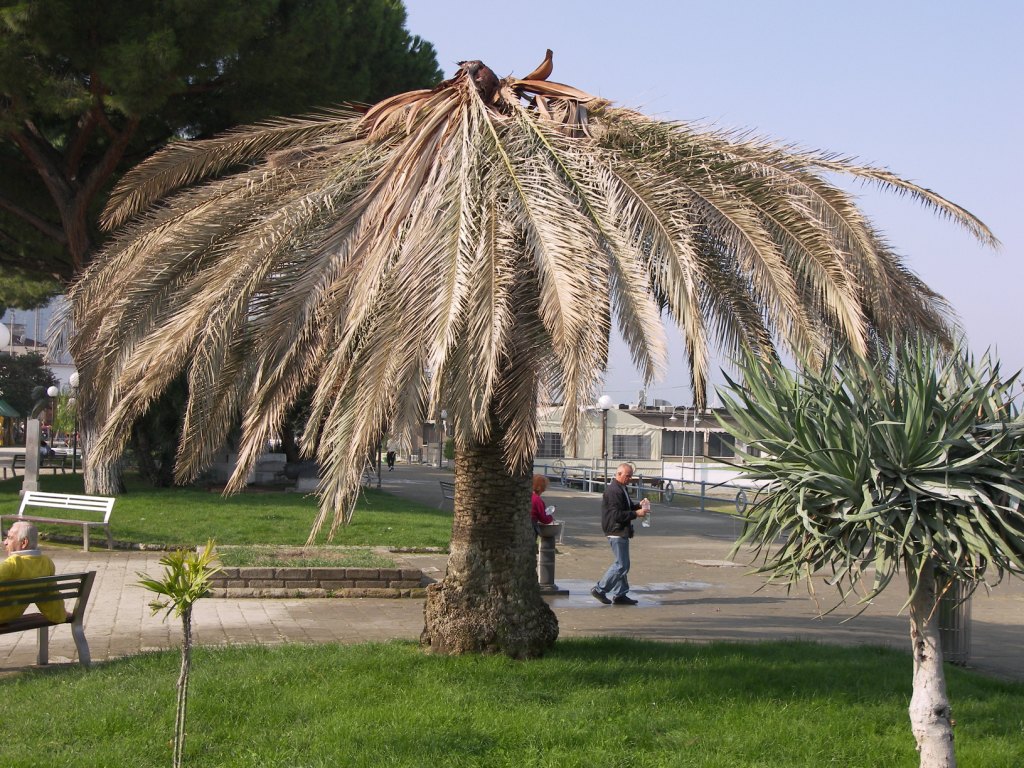 immagine da www.statoquotidiano.it