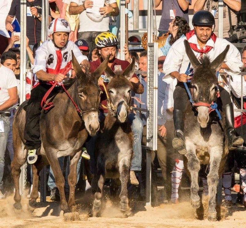 Valentino Bussu al via nel palio 2015