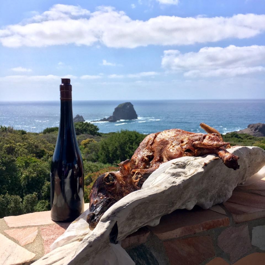 L'immagine vincitrice del concorso #noagnellonopasqua