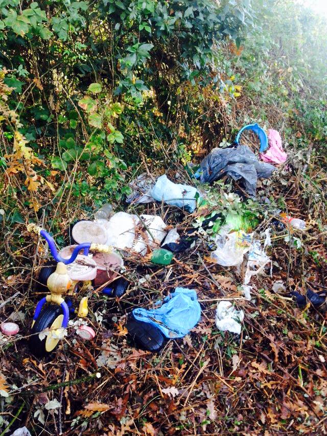 Immagine simbolica tratta dal web